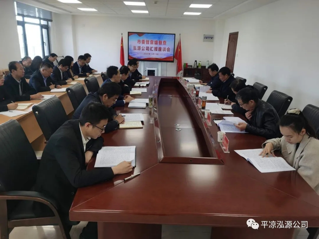 市委辦公室、市政府國資委督查泓源公司工作(圖4)