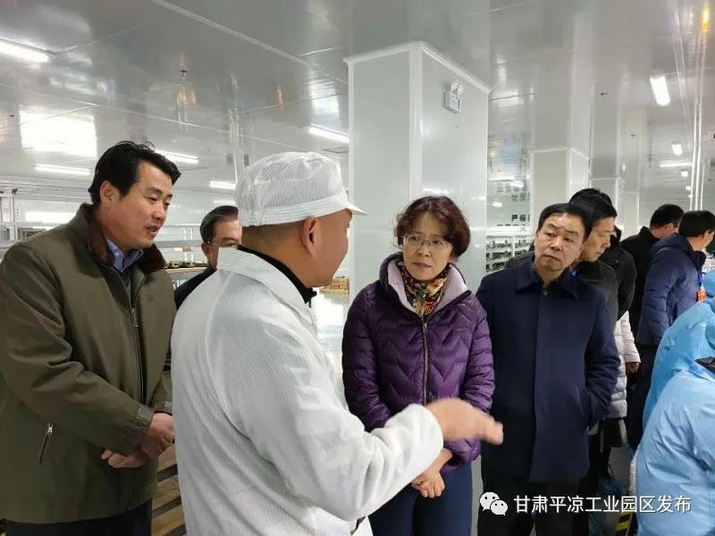 省市人大代表來(lái)平?jīng)龉I(yè)園區視察(圖2)