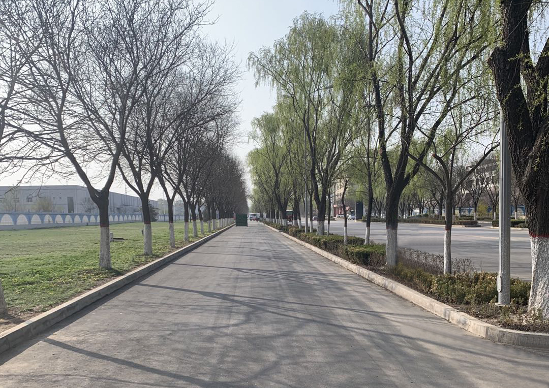 泓源公司開(kāi)展馬坊路西路等三條道路維修改造工程預驗收(圖2)