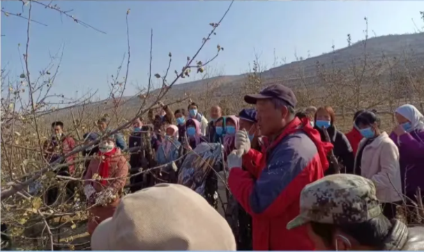 市產(chǎn)投集團在靜寧幫扶村開(kāi)展冬季果園管理培訓(圖2)