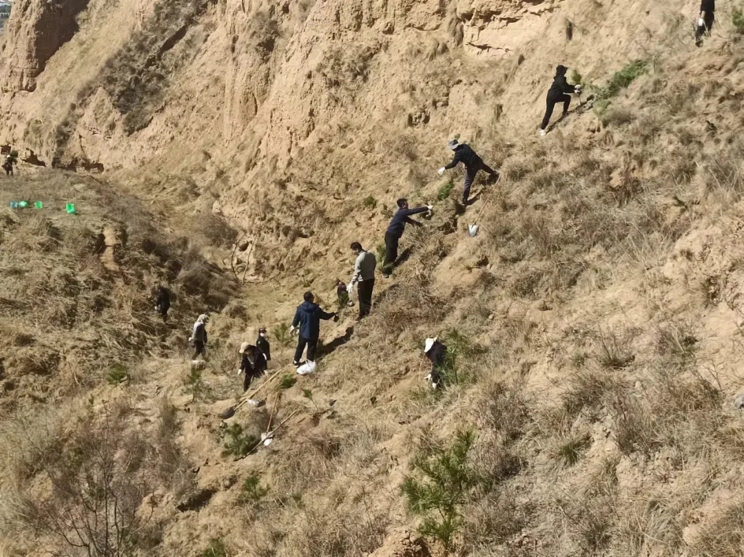 市產(chǎn)投集團開(kāi)展義務(wù)植樹(shù)活動(dòng)(圖2)